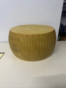 Parmigiano Reggiano Käserad Kunststoff Laden Display 15" Durchmesser 9" hoch.  T - Bild 1 von 11