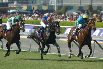 DVD - 2003 BREEDERS' CUP : Full Television Broadcast - Santa Anita Foto 1 de 4