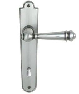 Türdrücker Türklinke Türgriff Schmiedeeisen BB/WC/ PZ - Bild 1 von 1