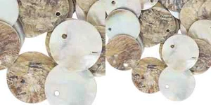100 Natural Color Mussel Shell 15mm (0.59") Round Coin Drop Charms with 1mm Hole - Picture 1 of 4