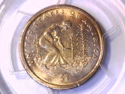 Dólar nativo americano P 2009 graduación profesional MS 67 borde débil letras posición B 15519523 Foto 1 de 3