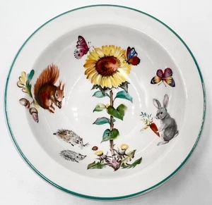 DELIGHTFUL ROYAL WORCESTER "A SKIPPETY TALE" CHILD'S BOWL; EXCELLENT COND - Picture 1 of 11