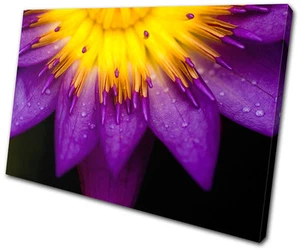 Flor Floral UN SOLO LIENZO ARTE DE PARED Impresión de Imagen VA - Imagen 1 de 1