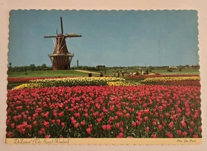 Der Schwan Windmühle De Zwaan Holland Michigan Vintage unbenutzt 6x4 Postkarte X01 - Bild 1 von 2