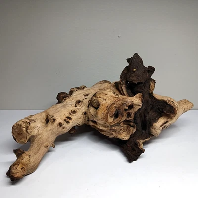 Natural Mopani Wood Dark Light Driftwood Shelf Aquarium Garden Nice Decor Medium - Image 1 of 4