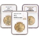 AMERICAN GOLD EAGLE 1 OZ $50 NGC MS70 RANDOM DATE AND LABEL AMERICAN GOLD EAGLE 1 OZ $50 NGC MS70 RANDOM DATE AND LABEL