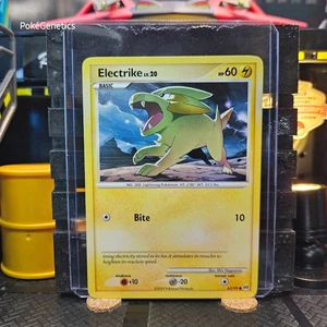 Electrike Arceus Pokémon TCG 63/99 Platinum Common - Picture 1 of 6