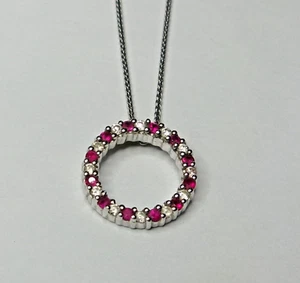 14K White Gold Natural Rubies & Diamonds Petite Circle Pendant on 18" Chain - Picture 1 of 3