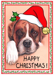 BOXER DOG SANTA HAT CUTE QUALITY GLOSSY CHRISTMAS CARD 8"x 6" FREE POST - Picture 1 of 2