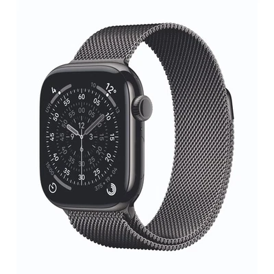 Apple Watch Series 11 Cellular 42mm Schiefer Titan Gehäuse mit Schiefer Milanais