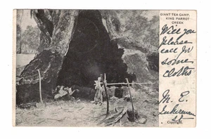 Vintage Postcard - 1908 - Giant Tea Camp, King Parrot Creek, Vic. - Zdjęcie 1 z 2