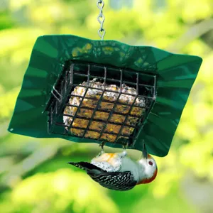 Erva Upside Down Suet Feeder, Green Finish - Picture 1 of 3