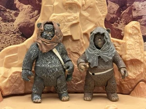 STAR WARS FIGURES - ROMBA & GRAAK - HASBRO - 3.75" - EWOKS - 2007 - TAC - - Picture 1 of 4