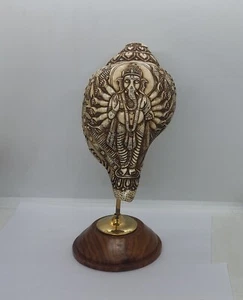 Elephant god Fourteen hands Standing Ganesh Conch Shell Priest trumpet, C22 - Picture 1 of 7