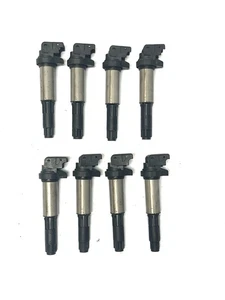 04-10 BMW N62 V8 E53 E60 E65 Bosch Igntion Coil Stick Set of 8 OEM - Picture 1 of 11
