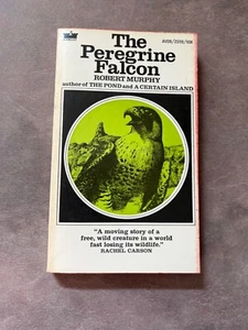 Vintage Paperback Book The Peregrine Falcon by Robert Murphy Camelot Avon Book - Foto 1 di 7