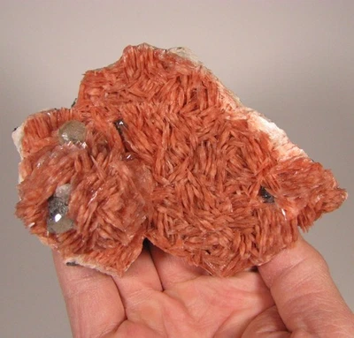5.1" CERUSSITE on BARITE Crystals Cluster - Mibladen, Morocco - 1.2 lbs. - Image 1 of 4