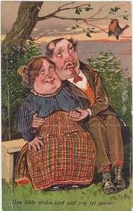 Signiert PFB, "Ein kleiner Dickie-Vogel & zwei dicke Gänse", lustiges Paar, geprägt, um 1909 - Bild 1 von 1