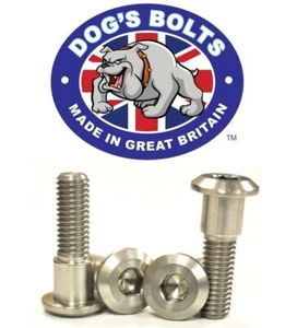 Suzuki RGV250 VJ22 91-95 Stainless Steel Rear Brake Disc Bolt Kit - Picture 1 of 1