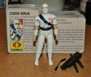 GI JOE VINTAGE 1984 COBRA NINJA STORM SHADOW Hasbro Toys With FILE CARD - Picture 1 of 2