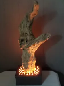 BEAUTIFUL DRIFTWOOD TABLE LAMP, HANDMADE COASTAL/RUSTIC DECOR,STATEMENT PIECE - Picture 1 of 7