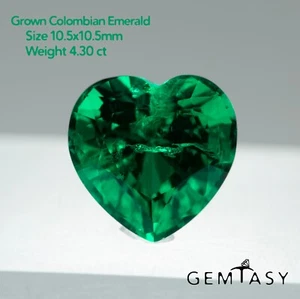 Cut stone - Emerald Colombian hydrothermal lab grown, facet 10.5x10.5mm 4.30ct - Picture 1 of 3