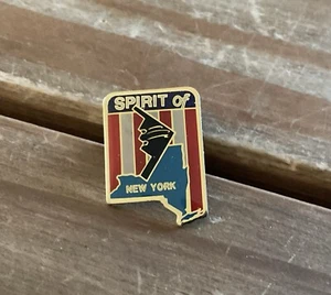 B-2 STEALTH BOMBER PIN, SPIRIT OF NEW YORK - Picture 1 of 3