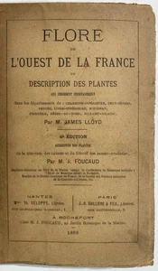 Lloyd - Flore de l'Ouest de la France 1885 / Botanik botanique botany - Imagen 1 de 1