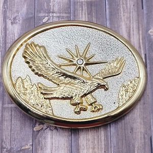 Eagle Soaring Fly Sunshine Mountains Mixed Metal Tone Belt Buckle w Crystal Sun - Picture 1 of 14
