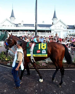 2015 Victor Espinoza AMERICAN PHAROAH Kentucky Derby Horse Racing 8x10 Photo - Picture 1 of 1
