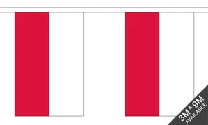 Poland Flag Bunting 9 Metres 30 Flag - Real Strong Flag Material Indoor Outdoor - Picture 1 of 6