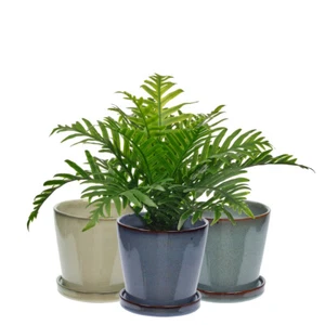 Indoor Ceramic Plant Pot Small Flower Succulent Cactus Decor Planter Holder - Picture 1 of 9