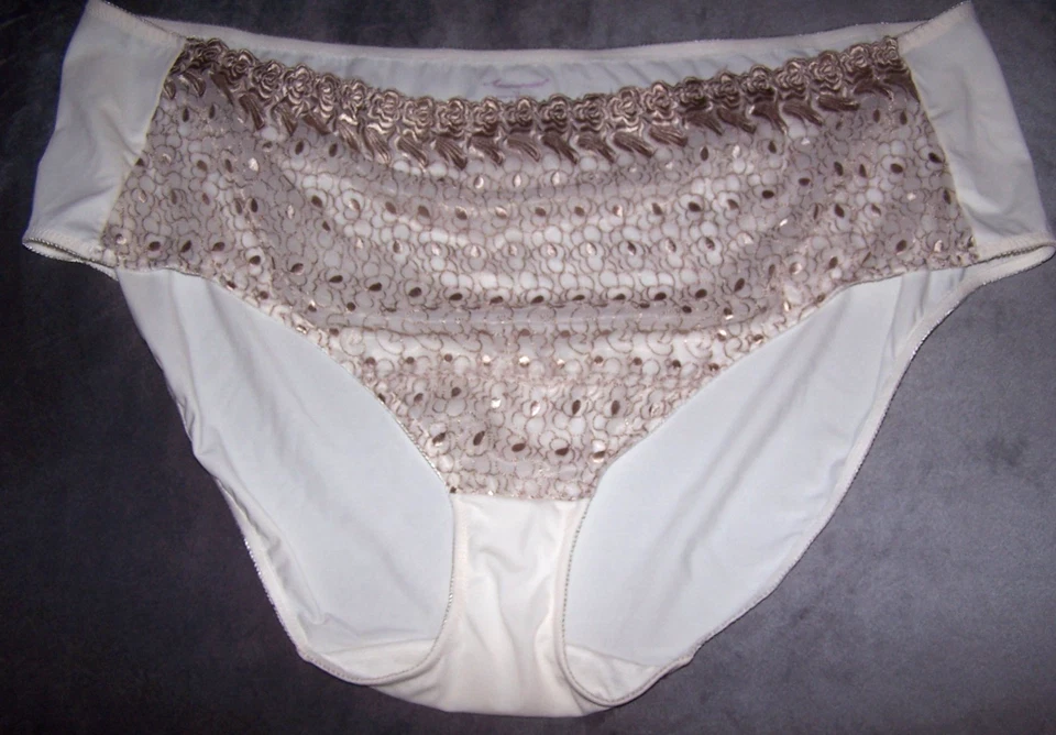 Amoureuse Cream Panties, Sheer, Full Front Beige Embroidery - Size 15 - Image 1 of 2