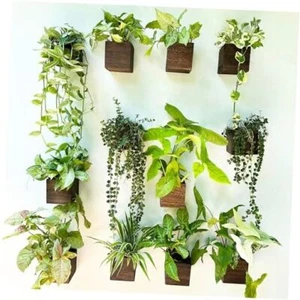 LaLaGreen Wood Planter Box for Plants (12 Pack, 4x4 4x4" (10 cm) x 12 pack - Picture 1 of 8