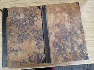 Georg Brandes Voltaire Von Vols 1 & 2  from 1923 written German - Picture 1 of 14