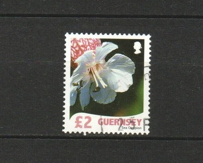 GUERNSEY 2008 WILD FLORA DEFINITIVE £2 SEA CAMPION 1 STAMP SC#984 IN FINE USED - Image 1 of 4