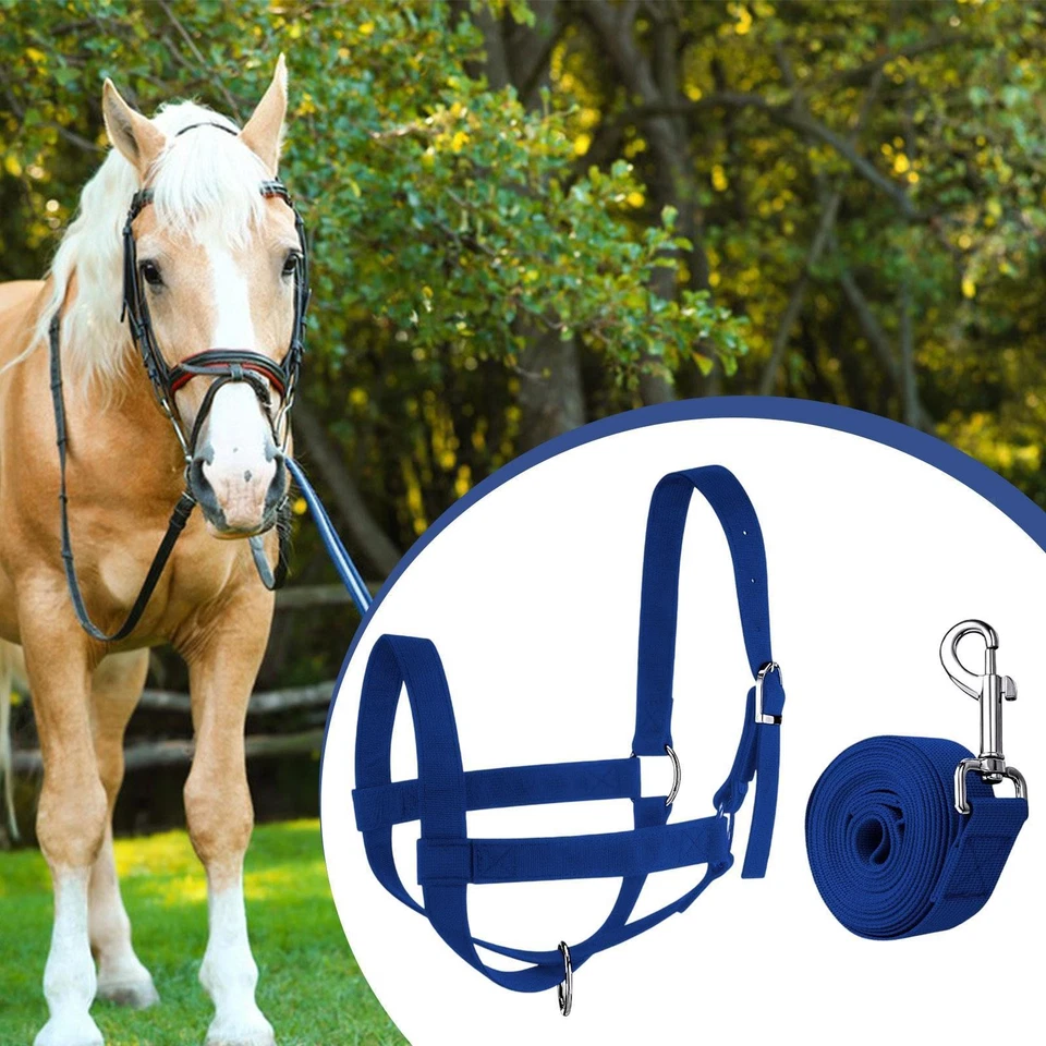 Arnés de ganado Halter de vaca con cuerda guía Brida de toro Granero Suministro esencial Foto 1 de 1