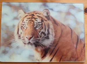 Big Cat, Tiger, Jaguar, Lion Cub, Red Panda, Sheep Glass Chopping Boards - Picture 1 of 7