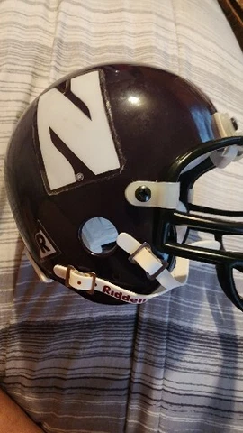 Northwestern Wildcats Riddell Mini Football Helmet - NCAA Cover