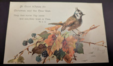 Vintage Christmas & New Year Card "Artist Signed Bird on branch" S N Brasch