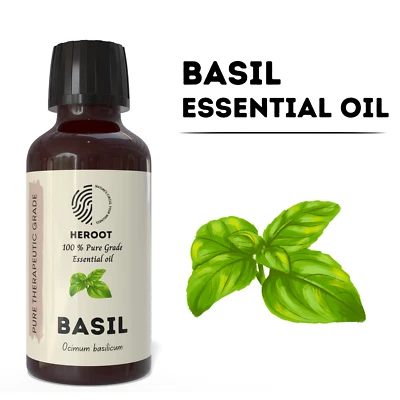 HEROOT Basil Essential Oils Oz Oil Pure 100% Natural Bulk Ml Therapeutic Grade Fl frag