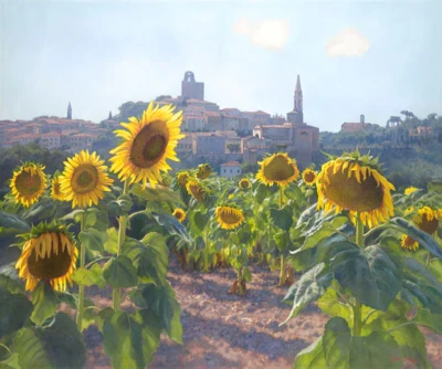 Junio CAREY Girasoles de Castiglion Florentino Vineyard LTD Lona Italia 31x37 Foto 1 de 4