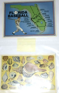 VTG, 3 x FLORIDA POSTCARDS "BASEBALL, PHONOGRAPH and SEASHELLS," (4" x 6") New - Picture 1 of 4