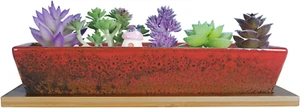 Succulent Pots, 9.8 Inch Ceramic Succulent Planters with Drainage Small Bonsai P - Picture 1 of 12