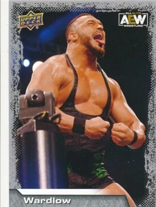 #66 WARDLOW 2022 Upper Deck AEW Wrestling - Picture 1 of 2