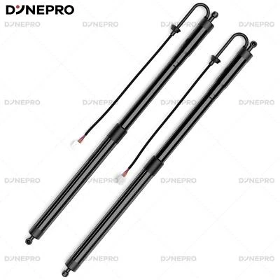For 2016-2019 Lexus RX350 RX450h 3.5L V6 2Pcs Rear Tailgate Power Support Struts - Image 1 of 4