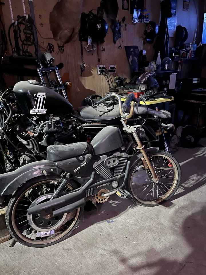 Bicicleta Harley Davidson/Roadmaster vintage años 90 rara en buen estado Foto 1 de 2