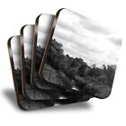 Set of 4 Square Coasters - BW - Field Meadow Nature  #38082