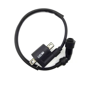 Ignition Coil For Chinese Made 200cc 250cc 300cc Engine ATV Quad Motorcycle - Picture 1 of 8