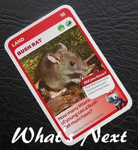 Woolworths<AUSSIE ANIMALS><Series 2 Baby Wildlife>CARD 18/36 LAND Bush Rat - Picture 1 of 2